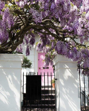 Notting Hill NOX HOTELS Notting Hill NOX HOTELS